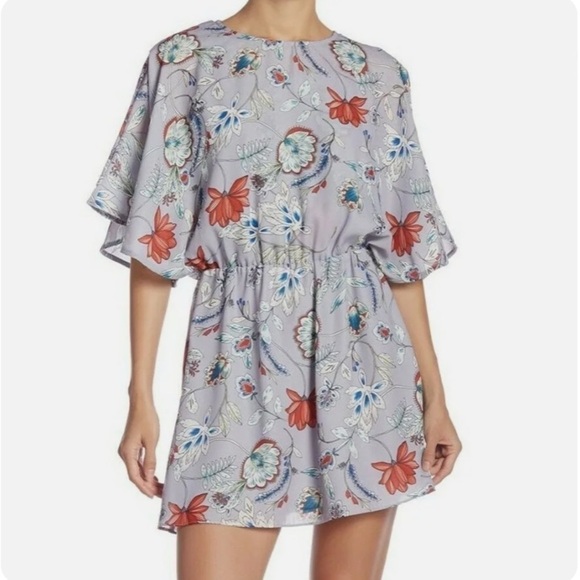 PRICE IS FIRM - PARKER Violet Garden Mini Dress Size Medium - Picture 1 of 11